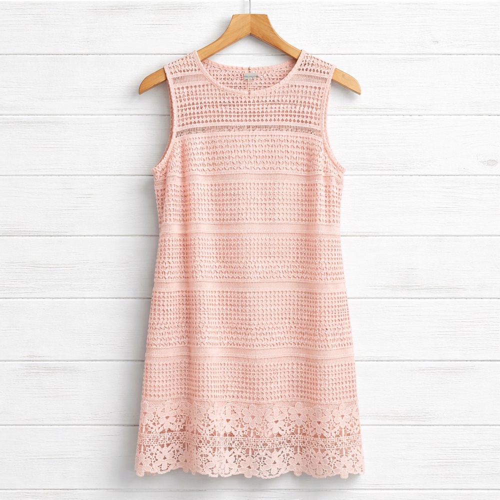 Abercrombie & Fitch Pink Lace Overlay Lined Dress (135)